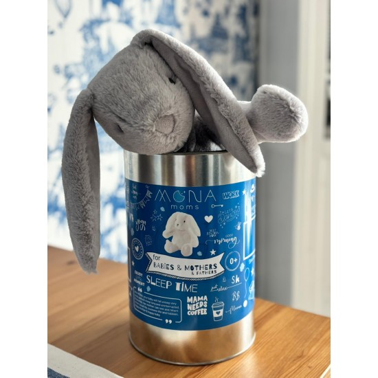 Mona Pışpışlayan Uyku Arkadaşı (Metal Kutu)