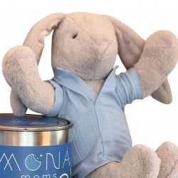 Mona Pışpışlayan Uyku Arkadaşı (Metal Kutu)