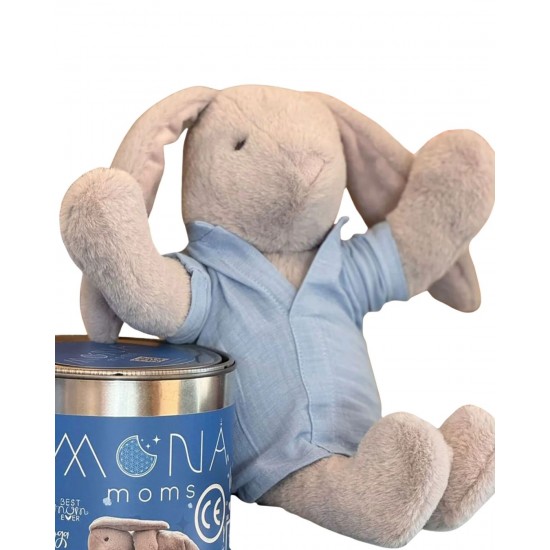 Mona Pışpışlayan Uyku Arkadaşı (Metal Kutu)