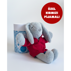 Mona Pışpışlayan Uyku Arkadaşı (Karton Kutu)