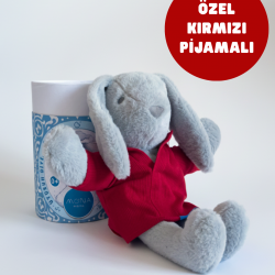 Mona Pışpışlayan Uyku Arkadaşı (Karton Kutu)