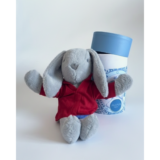 Mona Uyku Arkadaşı