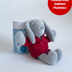 Mona Pışpışlayan Uyku Arkadaşı (Karton Kutu)